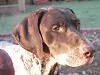 Lili0127's Avatar
