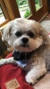 Bamafanroz's Avatar