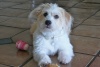 StellaHealing!'s Avatar